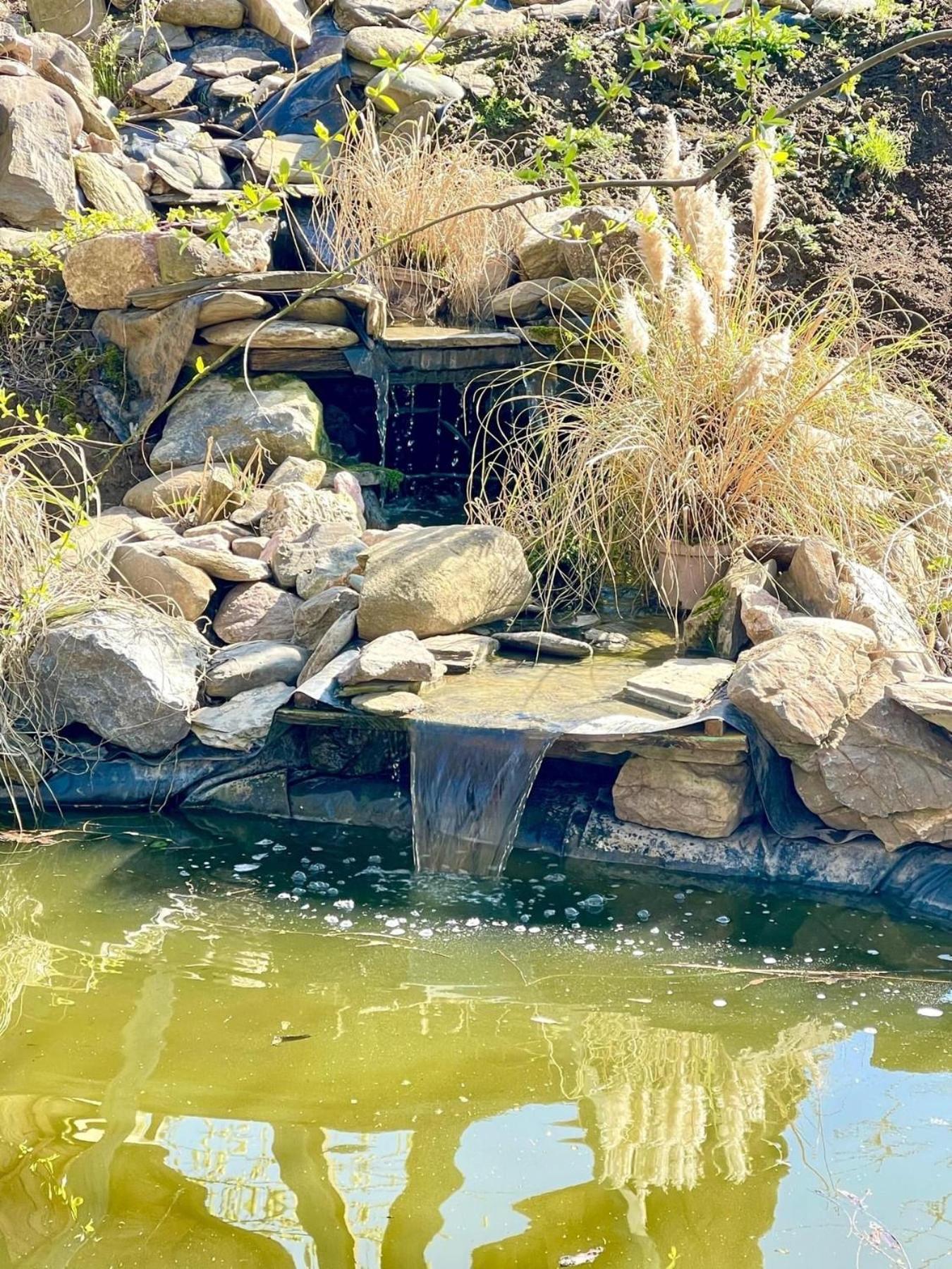 Casa Din Povesti In Mijlocul Naturii! Arad Exterior foto